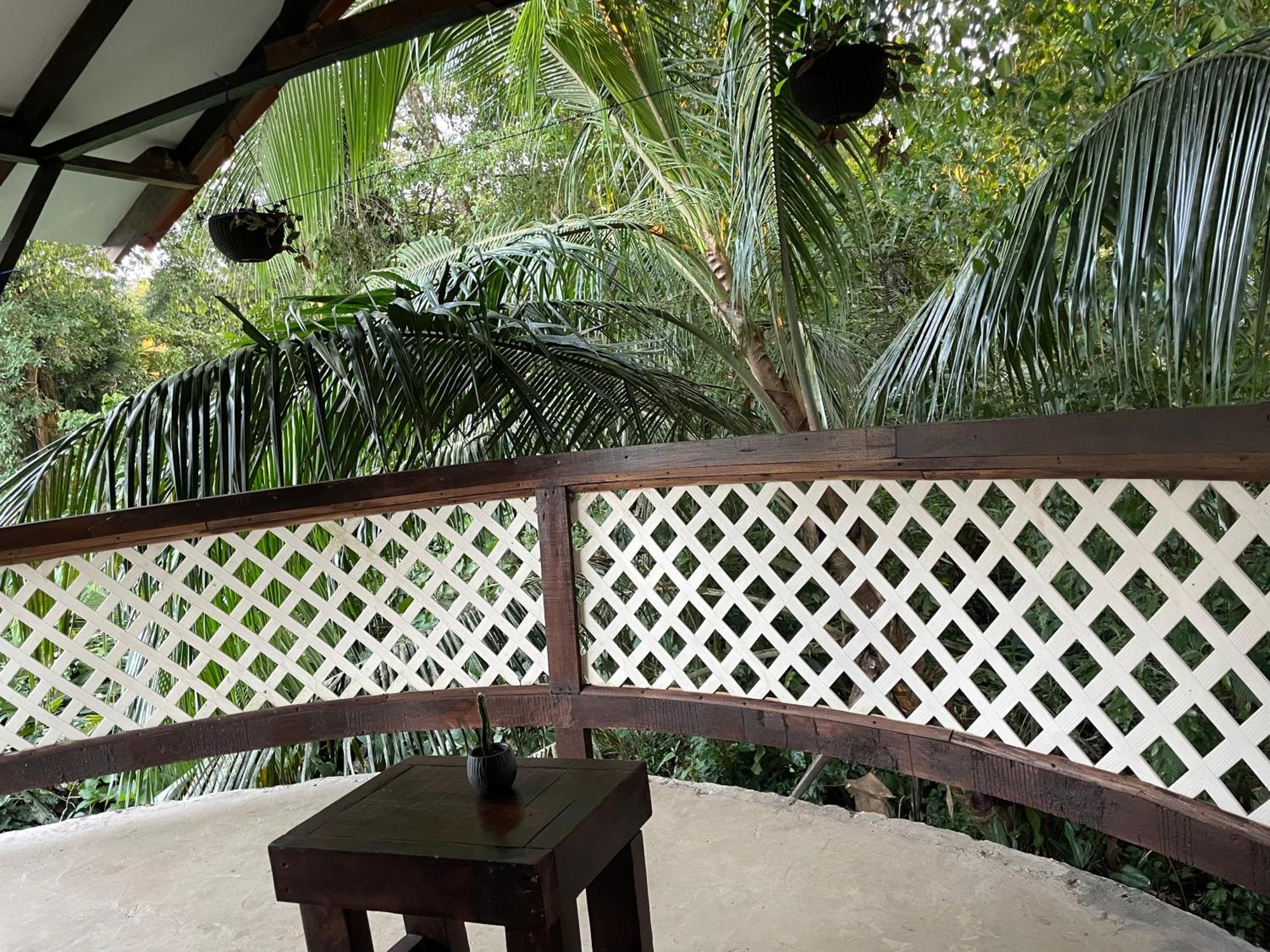 Casa Jaguar Tortuguero Villa Bagian luar foto