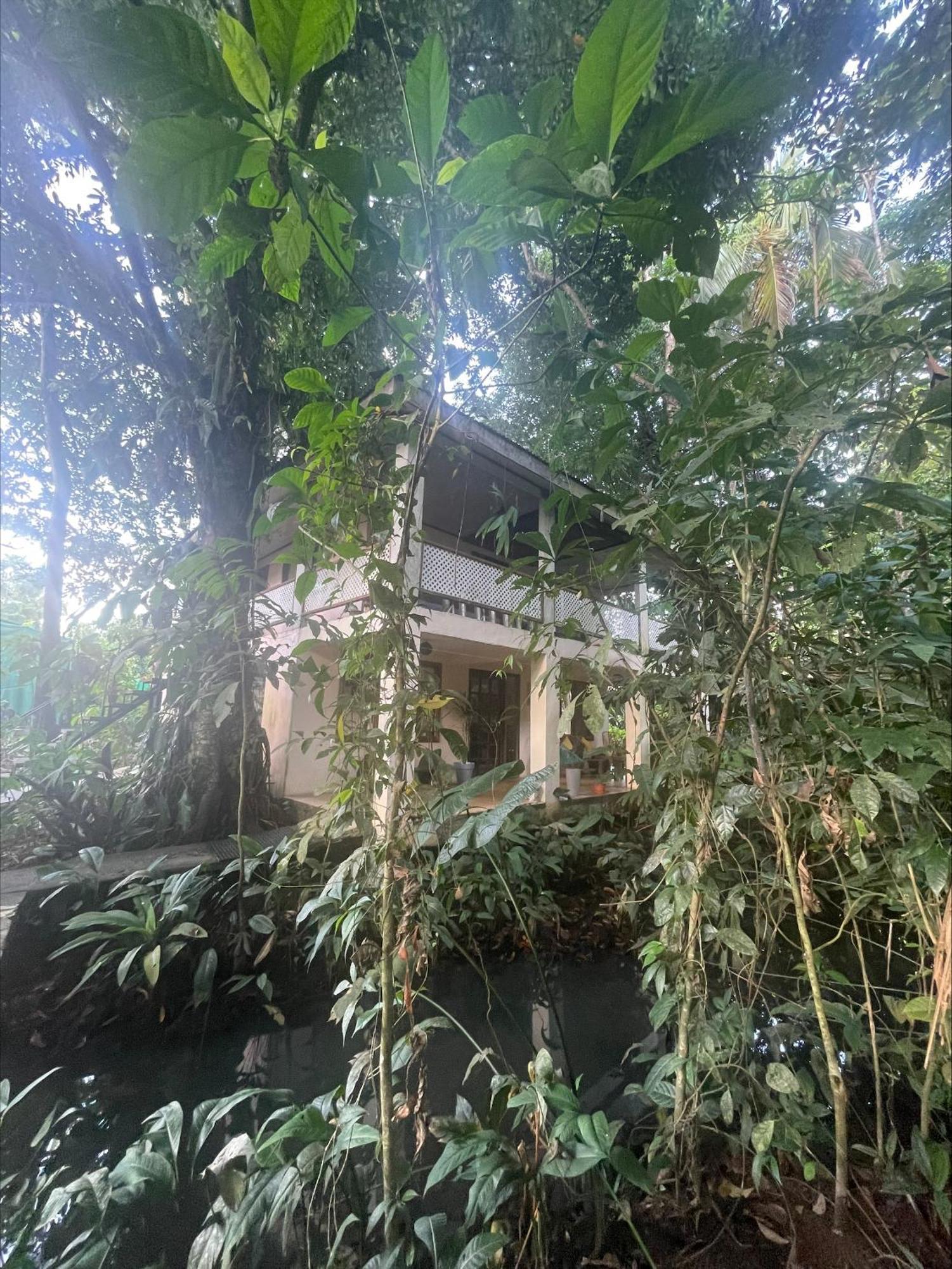 Casa Jaguar Tortuguero Villa Bagian luar foto