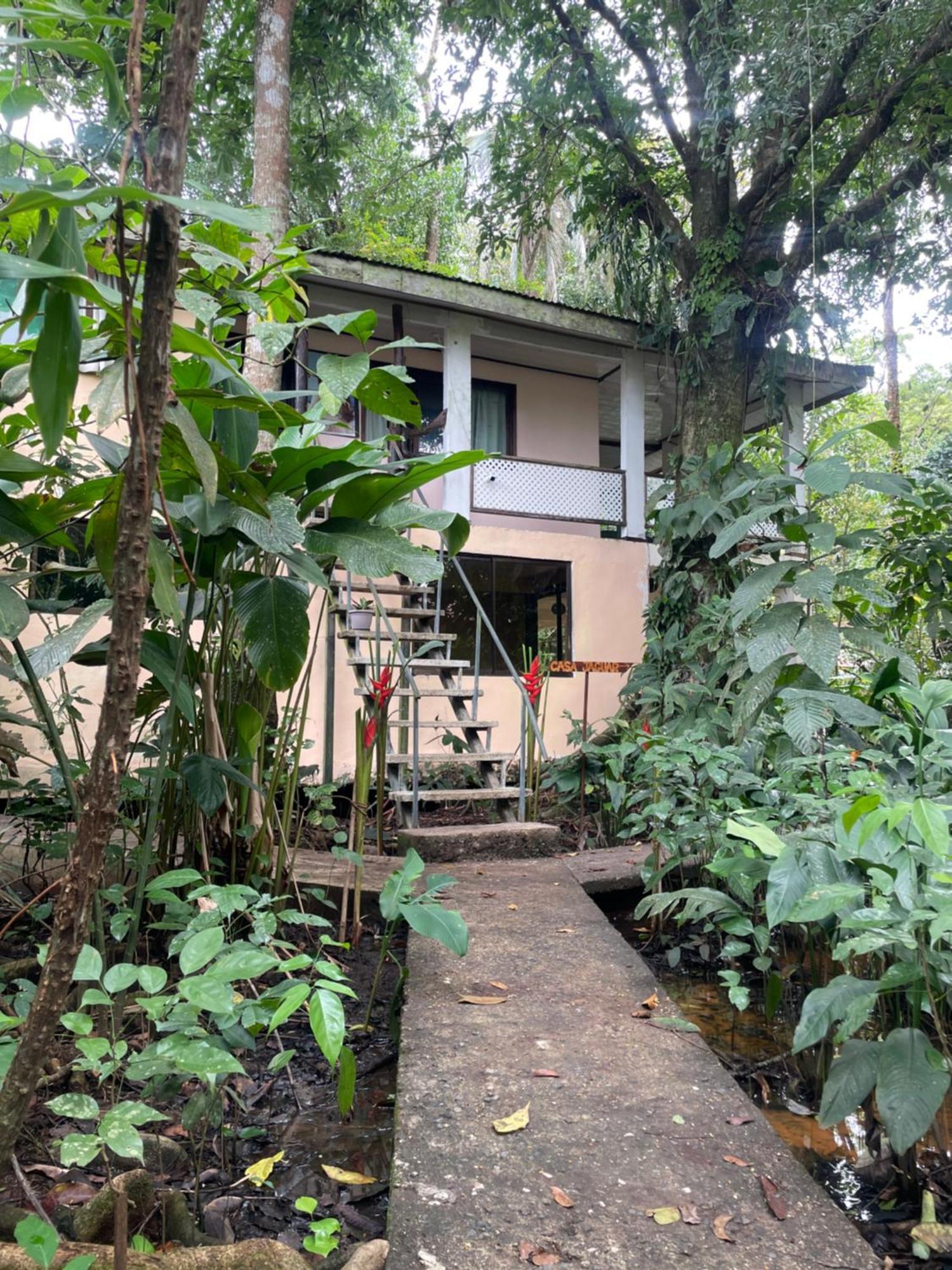 Casa Jaguar Tortuguero Villa Bagian luar foto