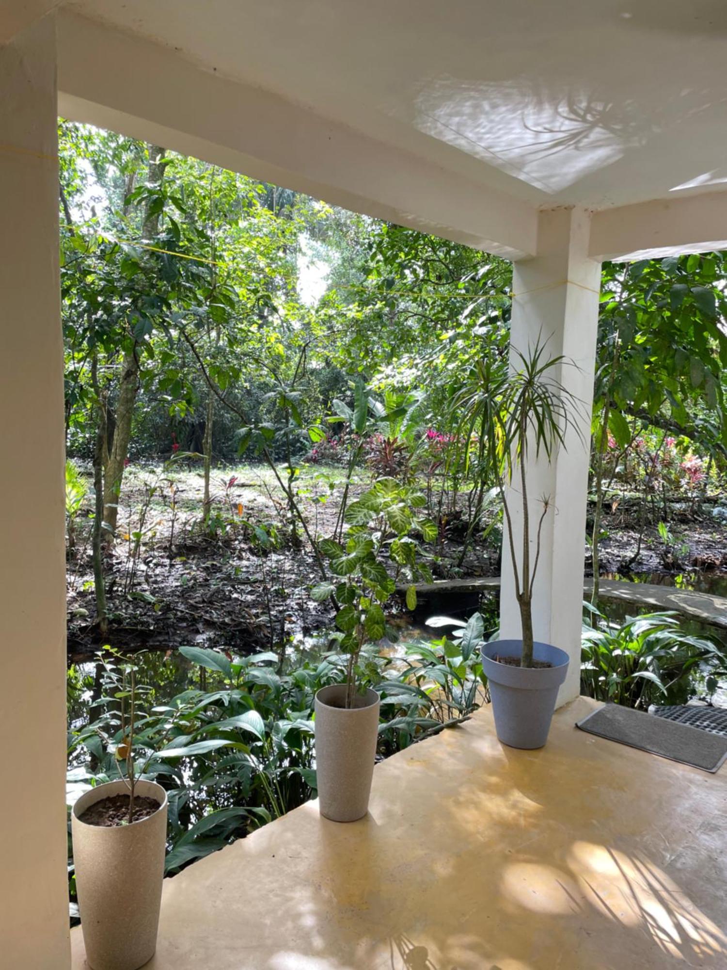 Casa Jaguar Tortuguero Villa Bagian luar foto